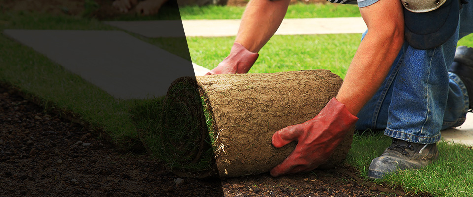 Greenville Landscapers